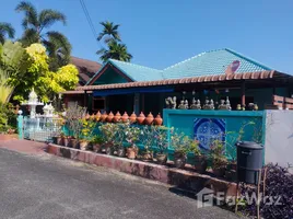 3 Schlafzimmer Haus zu verkaufen in San Phak Wan, Chiang Mai, San Phak Wan, Hang Dong, Chiang Mai