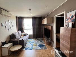 คอนโด 1 ห้องนอน ให้เช่า ในโครงการ ยู ดีไลท์ เรสซิเดนซ์, สวนหลวง, สวนหลวง