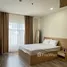 3 Habitación Apartamento en alquiler en Monarchy, An Hai Tay