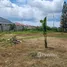  Земельный участок for sale in Тхап Таи, Хуа Хин, Тхап Таи, Хуа Хин, Прачуап Кири Кхан
