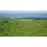  Land for sale in Santa Cruz, Guanacaste, Santa Cruz