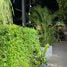 1 Habitación Retail space en alquiler en Choeng Thale, Phuket, Choeng Thale, Thalang, Phuket, Tailandia