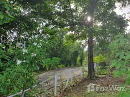 N/A Land for sale in Khanong Phra, Nakhon Ratchasima Stunning Hill Land for Sale in Khao Yai