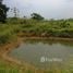  Land for sale in Phrae, Hua Fai, Sung Men, Phrae