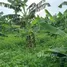  Terreno (Parcela) en venta en Pucacaca, San Martín, Pucacaca, Picota, San Martín, Perú