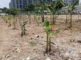  Terrain for sale in IMPACT Arena, Ban Mai, Khlong Kluea