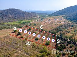 ขายที่ดิน ใน หนองตาแต้ม, หัวหิน, หนองตาแต้ม, ปราณบุรี, ประจวบคีรีขันธ์, ไทย