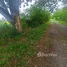  Земельный участок for sale in Khlong Si, Патумтани, Khlong Si, Khlong Luang