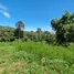  Terreno (Parcela) en venta en Maret, Surat Thani, Maret, Koh Samui, Surat Thani, Tailandia