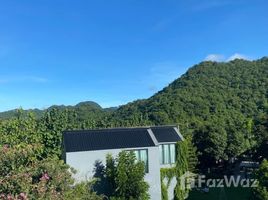 20 Bedroom Hotel for sale in Nakhon Ratchasima, Nong Nam Daeng, Pak Chong, Nakhon Ratchasima