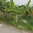 ขายที่ดิน ใน บางกรวย, นนทบุรี, บางกรวย