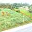  Land for sale in Nakhon Nayok, Pa Kha, Ban Na, Nakhon Nayok