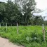 ขายที่ดิน ใน ช้างเผือก, เชียงใหม่, ช้างเผือก, เมืองเชียงใหม่, เชียงใหม่, ไทย