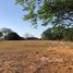  Terrain for sale in Hojancha, Guanacaste, Hojancha