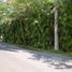  Land for sale at Quepos, Aguirre