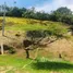  Land for sale in Colombia, Piedecuesta, Santander, Colombia