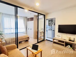 คอนโด 1 ห้องนอน ให้เช่า ในโครงการ ดีคอนโด รีฟ ภูเก็ต, กะทู้, กะทู้, ภูเก็ต