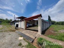 3 Habitación Casa en alquiler en Costa Rica, Alajuela, Alajuela, Costa Rica