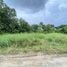  Land for sale in Nakhon Si Thammarat, Pak Nakhon, Mueang Nakhon Si Thammarat, Nakhon Si Thammarat