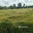  Land for sale in Maha Sarakham, Mek Dam, Phayakkhaphum Phisai, Maha Sarakham