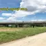  Land for sale in Khlong Yong, Nakhon Pathom, Khlong Yong, Phutthamonthon