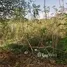  Grundstück zu verkaufen in Labu Api, Lombok, Labu Api