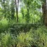  Land for sale in Na Wang Hin, Pattaya, Na Wang Hin, Phanat Nikhom, Chon Buri