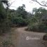  Land for sale in Guanacaste, Santa Cruz, Guanacaste