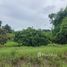  Land for sale in Thailand, Makhun Wan, San Pa Tong, Chiang Mai, Thailand