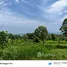  Земельный участок for sale in Nong Thale, Краби, Nong Thale