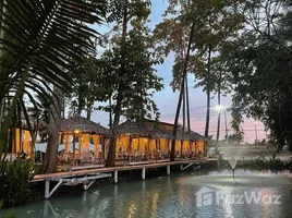 ขายที่ดิน ใน งิ้วราย, นครปฐม, งิ้วราย, นครชัยศรี, นครปฐม, ไทย