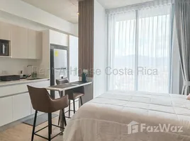 Appartement 1 chambre à louer à SAN JOSE, San Jose, San Jose