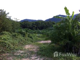  Land for sale in Pa Khlok, Thalang, Pa Khlok