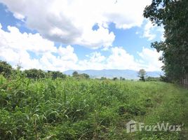  Land for sale in Phrao, Chiang Mai, Mae Pang, Phrao