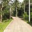  Land for sale in Taling Ngam, Koh Samui, Taling Ngam