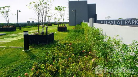 Photo 1 of the Communal Garden Area at Supalai Park Khaerai - Ngamwongwan