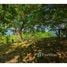  Land for sale in Roatan, Bay Islands, Roatan