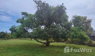 N/A Land for sale in Sam Roi Yot, Hua Hin 