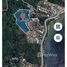  Land for sale in Phuket, Patong, Kathu, Phuket