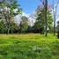  Terreno (Parcela) en venta en Costa Rica, Limón, Limón, Costa Rica