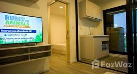 ยูนิตมือสองและให้เช่า