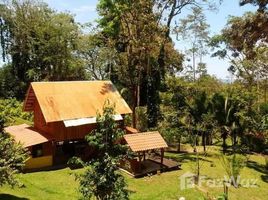 2 Bedroom House for sale in Talamanca, Limon, Talamanca