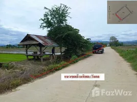 ขายที่ดิน ใน แม่อาย, เชียงใหม่, แม่อาย, แม่อาย