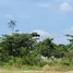 在Cebu, 中米沙鄢出售的 土地, Cordova, Cebu