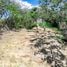  Land for sale in Roatan Bay Islands, Roatan, Bay Islands