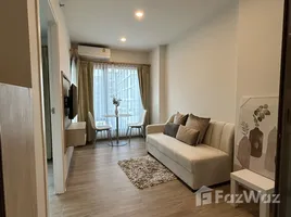 1 Schlafzimmer Wohnung zu vermieten im Phyll Phuket by Central Pattana, Wichit