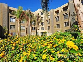 2 Bedroom Apartment for sale at Palm Parks Palm Hills, South Dahshur Link