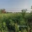  Земельный участок for sale in Huai Muang, Nakhon Pathom, Huai Muang, Kamphaeng Saen, Nakhon Pathom