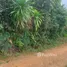  Land for sale in Perez Zeledon, San Jose, Perez Zeledon