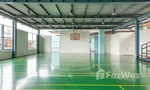 Basketball Court at บางกอก การ์เด้น